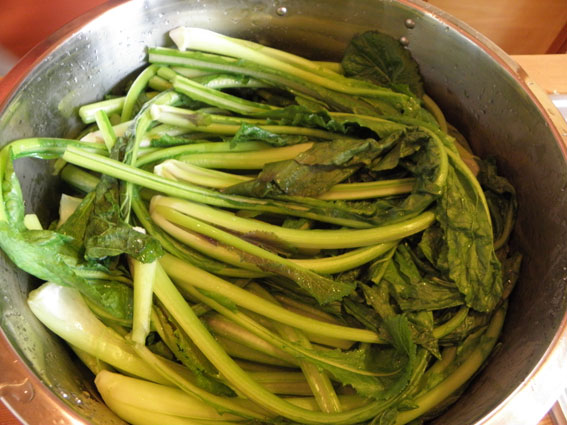 野沢菜